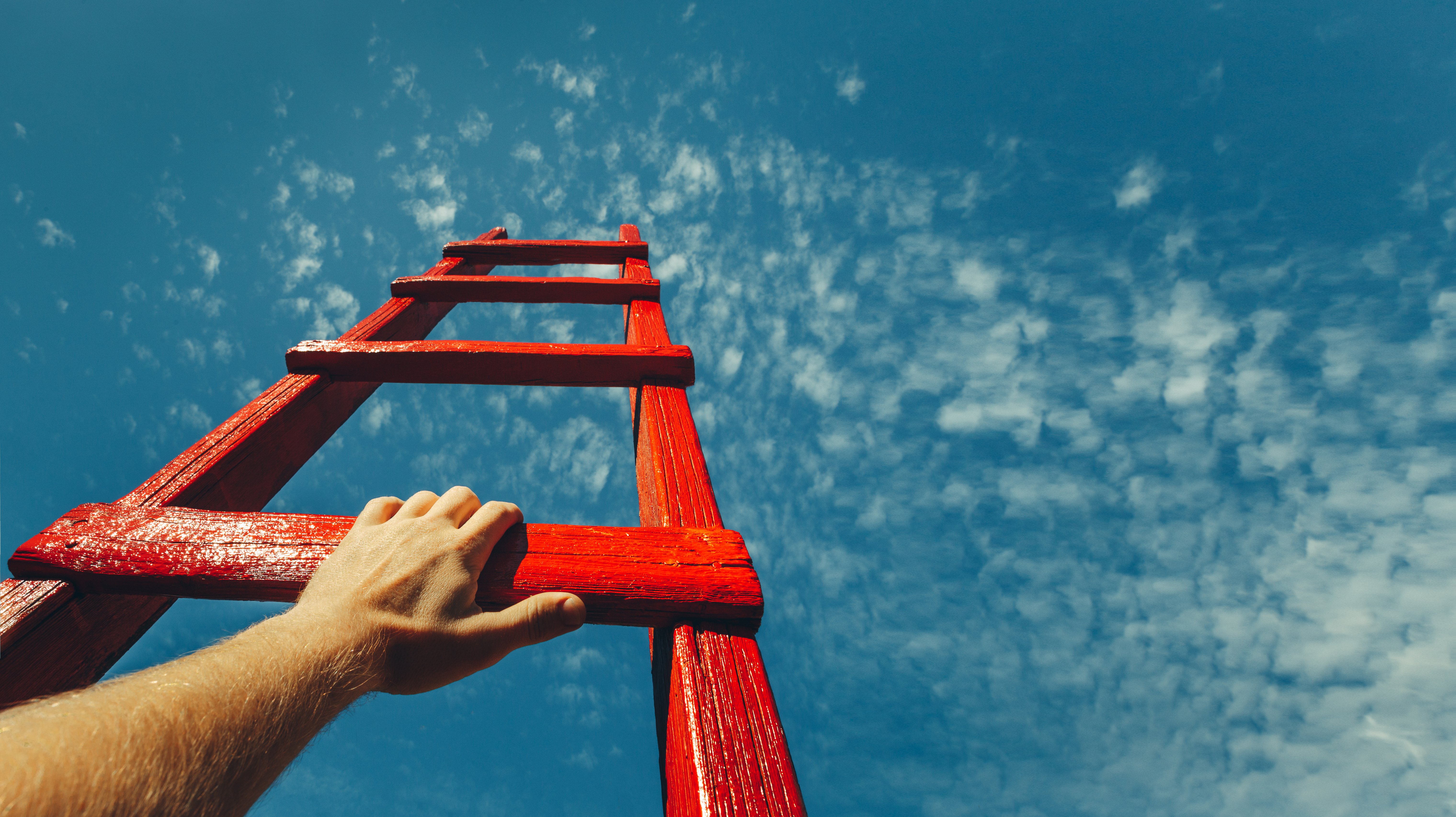Level-up Leadership: The Leadership Ladder™