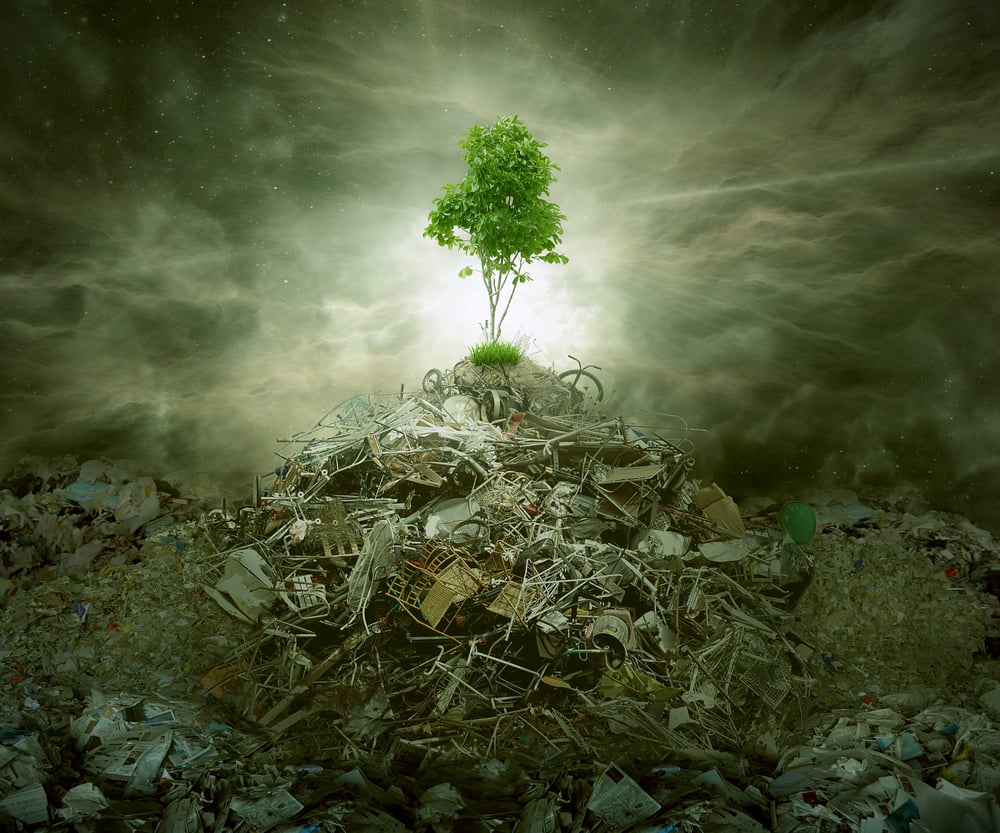 Green concept as a leaf tree on top of mountain heap of garbage with roots as an environment or conservation icon for waste management or new healthy beginning.-1